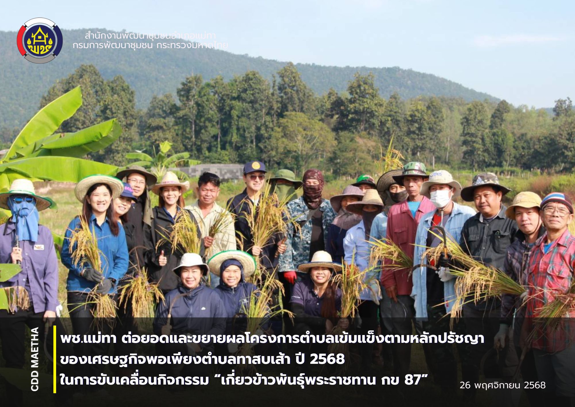 พช.แม่ทา ต่อยอดและขยายผลโครงการตำบลเข้มแข็งตามหลักปรัชญาของเศรษฐกิจพอเพียงตำบลทาสบเส้า ปี 2568 ขับเคลื่อนกิจกรรม “เกี่ยวข้าวพันธุ์พระราชทาน กข 87”